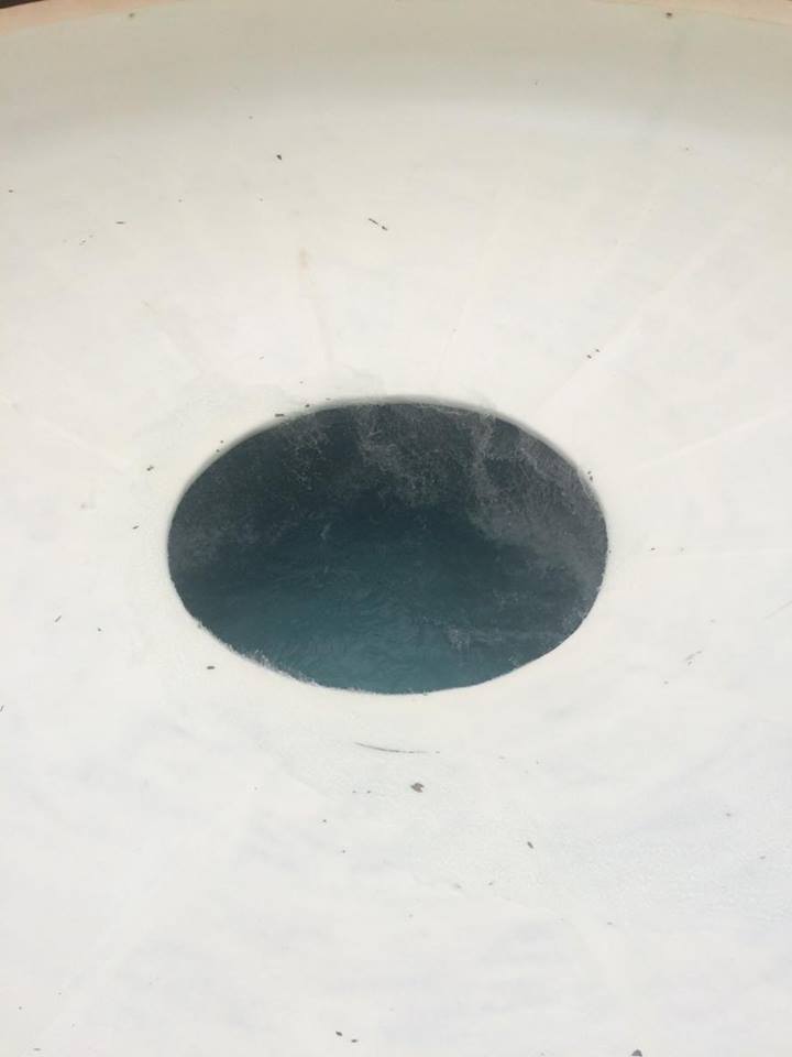 xicara