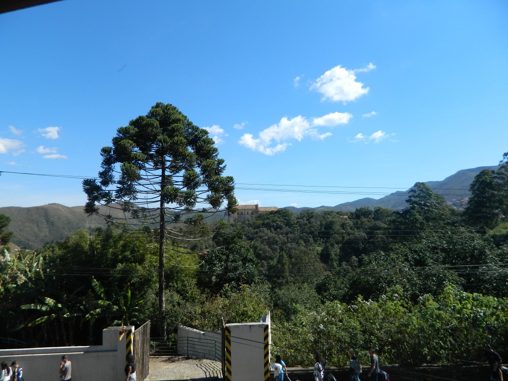 DSCN2218